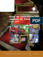 Guía de ECF 2019