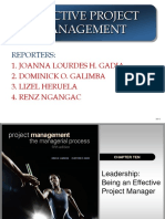 Chapter 10 - Leadership & Project Managers