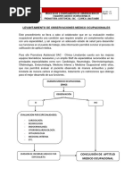 Proceso de Levantamiento de Observacion PDF