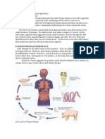 Soliuminfections and Not Infection With Taniea Saginata.: Pathogenesis & Epimiology