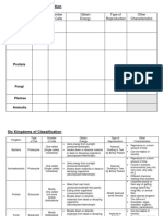 Classification Notes Chart Group Work