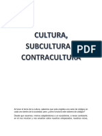 Cultura, Subcultura y Contracultura