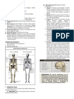 ANATOMÍA - Cotamania PDF