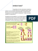 Biologia 5to Año Como Se Hereda El Sexo