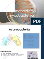 Actino Bacterias