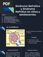 Síndrome Nefrotico y Nefritico