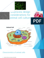 Animal Cell Culture in Bioreactors