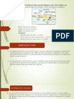 Yacimientos IOCG