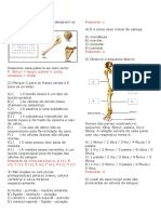 Avaliação 8 Ano Ossos Sistema Locomotor