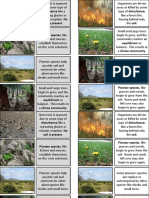 Ecological Succession Cards To Order