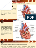 Anatomía y Fisiología 2 PDF