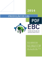 Produção de Cal - EBC PDF