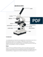 Partes de Un Microscopio