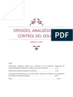 Opioides, Analgesia y Control Del Dolor