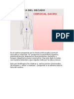 El Rastreo Tecnica Del Secado y El Codigo Patogeno