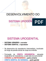 Sistema Urogenital