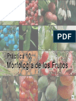 Clasificacion - Frutos IAC - Decrypted PDF