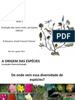 Aula2 - Origem Ser Humano - 8ºano