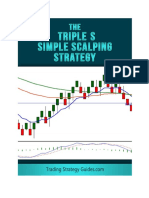 Triple S Strategy PDF