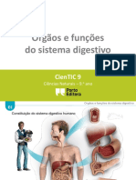 Ctic9 E2 Órgãos e Funções Do Sistema Digestivo