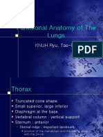 Functional Anatomy of The Lungs: KNUH Ryu. Tae-Ha