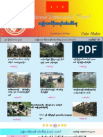 No 16NDF Bulletin Nov 30 2010