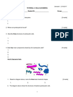 Tutorial 2-Woc - Cells (Question)