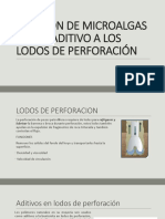 Modificación Química de Almidones