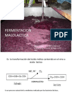 Ok2019 FERMENTACION maloLACTICA