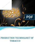 Production Technology of Tobacco