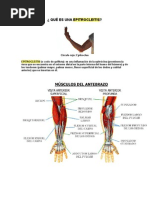 PDF Documento