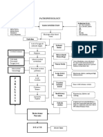 Pathophysiology: P A R A L Y S I S