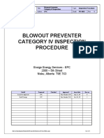 Blowout Preventer Category IV Inspection - Rev1