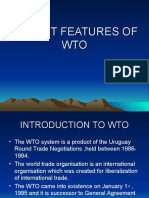 Salient Features of Wto