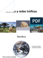 Clase7.Biomas y Redes Troficas