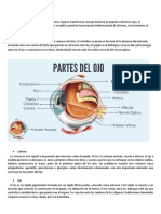 Estructura y Funcion Del Ojo