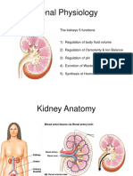 Week12 13 RENAL Physiology