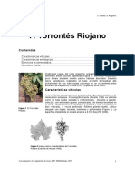 Torrontes Riojano PDF