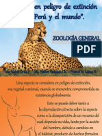 Animales en Peligro de Extinción