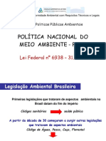 Política Nacional Do Meio Ambiente PNMA Lina Maria Aché PDF