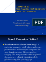 Brand Extension