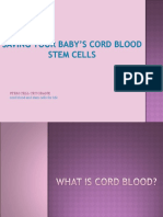 Stem Cell Cryobank: Cord Blood and Stem Cells For Life