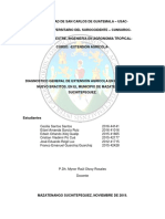 Diagnostico Extensión Agricola Modificado