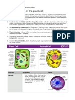 Plant Organology Theory PDF