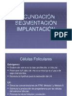 Fecundación, Segmentación e Implantación