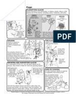 Alache Science Factsheet