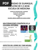 Defectos y Anomalias Congenitas de Columna Vertebral