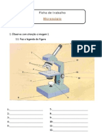 Microscopio