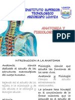 Introduccion A La Anatomia