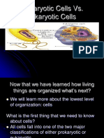 Prokaryote Vs Eukaryote